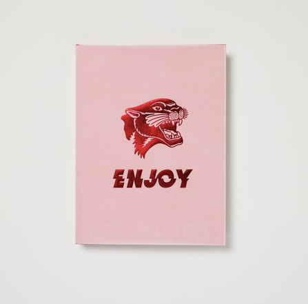 Enjoy - Austin Maples